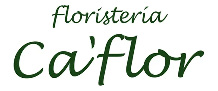 Tienda online
